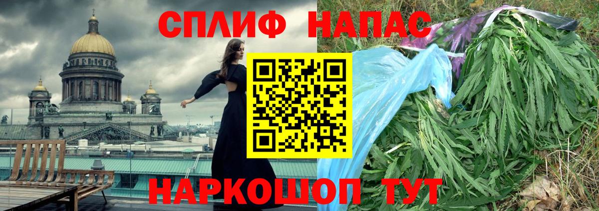 Бошки Шишки планчик Чапаевск
